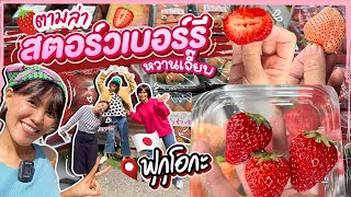 ทริปกินแหลกล้างโลกตะลุยคิวชู l Fukuoka ตามล่าสตอร์วเบอร์รี - EP.1 กับ วว.แอดไวซ์เด้อ @KRUA.CO