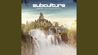 Subculture (Continuous Mix 2)