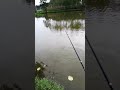 outdoor fishing fishing riverii🐟 🎣