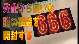 【マニアック】先輩からもらった謎福袋開封したら楽しかった！【三国志大戦】