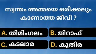 സ്വന്തം അമ്മയെ ഒരിക്കലും കാണാത്ത ജീവി ?😲 Malayalam quiz