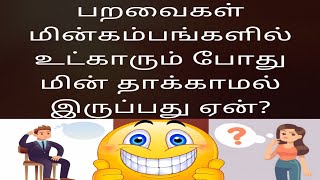 பறவைகள் மின் கம்பிகளில் உட்காரும் போது மின் தாக்காமல் இருப்பது ஏன்  | Why birds do not get shocked?