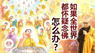 如果全世界都怀疑念佛 怎么办？ 👼 | 净本法师 主讲