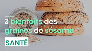 3 bienfaits des graines de sésame