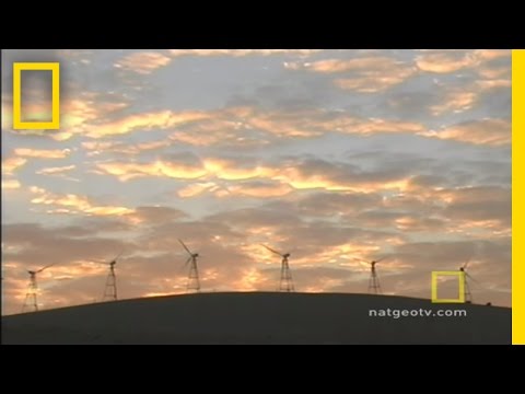 What is the importance of energy conservation?