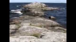 Tours-TV.com: Onega petroglyphs, Cape Besov Nos