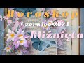 ♊️ bliźnięta ⚘️ czerwiec 2024 🍀 horoskop 🌟tarot 💁‍♀️ #tarocistkafreya 🌻