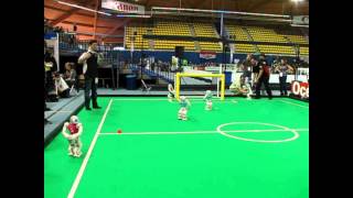 Robocup 2013 - Austin Villa vs Berlin United