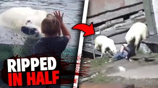 This Boy SNEAKS Into Zoo Enclosure And Gets RIPPED APART By 2 Polar Bears!