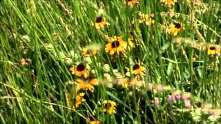 Managing Sensitive Landscapes