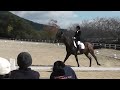 2014藤田杯　馬場　a3　田原　清熊