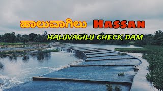 haluvagilu check dam Hassan | ಹಲುವಾಗಿಲು ಹಾಸನ | #hassan #karnataka #falls