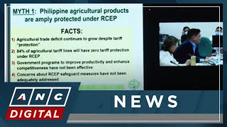 WATCH: PH Senate Minority leader Koko Pimentel weighs in on RCEP | ANC