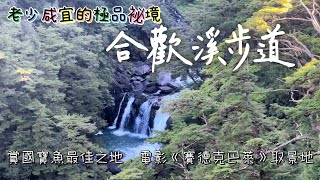 南投仁愛．合歡溪步道｜壯觀峽谷、蒼勁奇木、清澈溪水｜一生必訪極品祕境