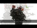 planthaven 360 video dahlia mystic dahlias™ mystic haze