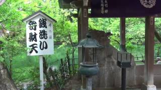 JR東日本｢駅からハイキング｣　吉祥寺駅　2017/05/07