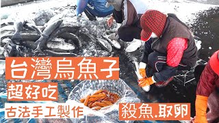 【台灣美食】【烏魚子】烏魚子製作過程:台灣伴手禮＼烏金＼台灣特產＼台灣雲林＼烏魚子之鄉＼口湖鄉＼台灣手信＼古法手工