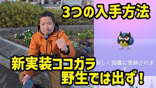 【ポケモンGO】新ポケのココガラは野生で出ず！3つの入手方法 はがねの決意