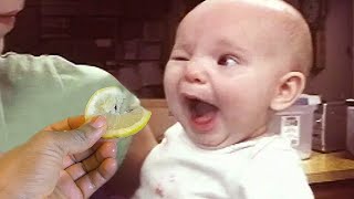 Surprised Babies Eating Lemon for the first time - Funniest Baby Reactions