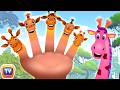 Finger Family Song - Giraffe - Kids Songs and Learning Videos - ChuChu TV Classics #nurseryrhymes