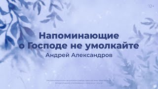 Андрей Александров: Напоминающие о Господе не умолкайте (12 января 2025)