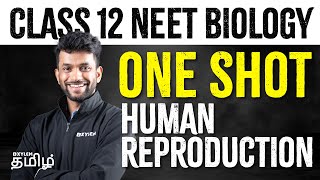 Class 12 NEET - Biology | One Shot | Human Reproduction | Xylem NEET Tamil
