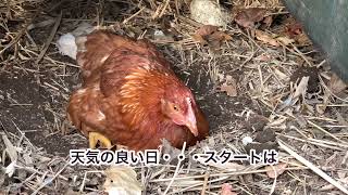 お風呂♨️いい湯（砂）だなぁ