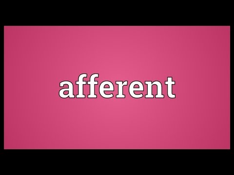 What is the meaning of afferent?
