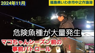 【マコちゃん探し】今シーズンのマコちゃんチャレンジに備えて事前パトロール　【茨城鰈査會】