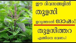 ഈ ദിവസങ്ങളില്‍ തുളസി ഇറുക്കരുത്! തുളസിത്തറ എങ്ങിനെ വേണം? Tulsi plant and Thulasi Thara