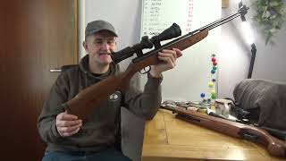 Rating The Air Rifles on the Vinometer Scale