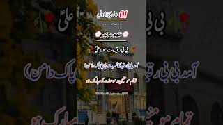 ولادت با سعادت حضرت بی بی پاکدامن تمام مومنین کو مبارکباد پیش کرتا ہوں #love #yali#foryou