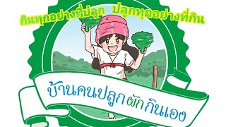 ปลูกผักสวนครัวตามแนวปรัชญาเศรษฐกิจพอเพียง