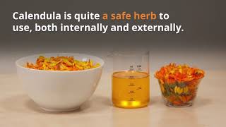 Calendula, the All Purpose Healing Herb