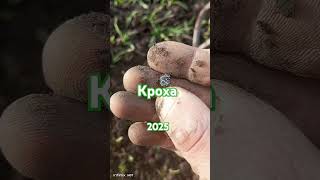 #коп #metaldetecting #metaldetector #шурф_фундамента #коп_монет