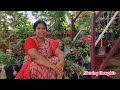 నాకు నచ్చిన adenium plant మీకు కూడా గిఫ్ట్ గా ఇవ్వాలనుకుంటున్నను.నేను two years నుండి చూస్తున్నాను .