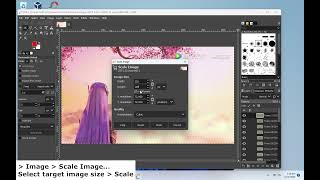 Resize animated GIF using GIMP