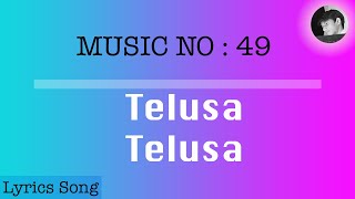 Telusa Telusa | Lyrics Song with Translation | Sarrainodu