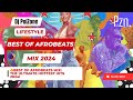 Afrobeats Mix 2024 | The Best of Afrobeats 2024 by DJ PoiZone