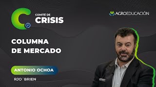La Columna de Mercado de Antonio Ochoa - Comité de Crisis #203