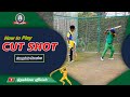 How to play Cut Shot ? What are three types of Cut Shot ? Learn all in this video #cutshot #tips