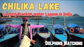 Chilika Lake, Odisha | Largest Brackish water lagoon in india | Full tour guide | Dolphins🚣