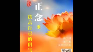 ✨🎵 🎵 睡前一听✨卢台长说［白话佛法］用正念来抗击自己的阴气