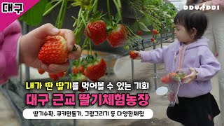 대구 근교 딸기를 직접 따볼 수 있는 곳｜딸기가｜딸기체험농장｜아이랑가볼만한곳