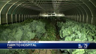 UPMC launches farm-to-hospital program to encourage healthy eating