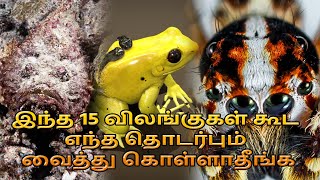 இந்த 15 விலங்குகள் கூட எந்த தொடர்பும் வைத்து கொள்ளாதீங்க