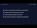Python Reference Counting Explained in 90 Seconds