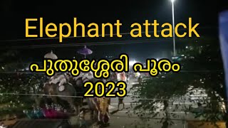 പുതുശേരിയിൽ പൂരത്തിനിടെ ആന ഇടഞ്ഞു #elephantattack