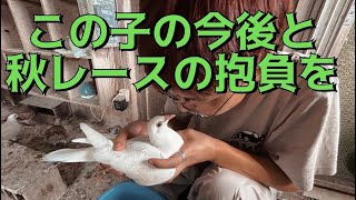 【番外編】のどか村も秋めいてまいりました…。の巻