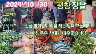 2024년10월30일 평창장날 입니다. 산골할머님이 직접캐온 고들빼기 달래 또 집에서키운 배추 무우 여러농산물 그리고 평창시장 유명한 부침개집 등등 ..